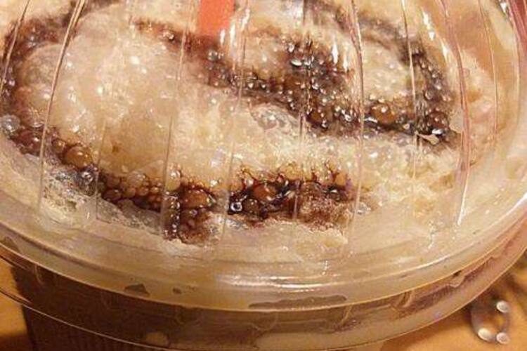 Desi Palette Tilak Nagar Kanpur Zomato